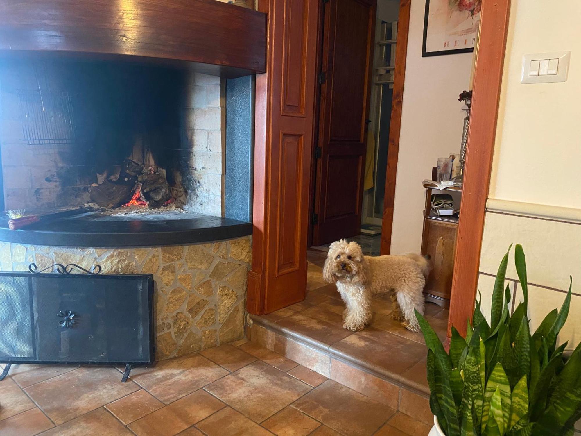 Gentiluomo Masseria Tre Archi & Apulia Relais חדר תמונה